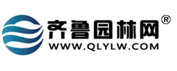 合作媒體