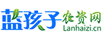 合作媒體