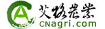 合作媒體