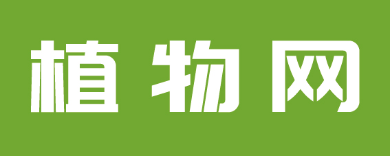 合作媒體