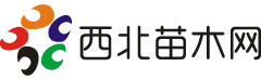 合作媒體