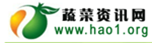 合作媒體