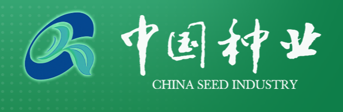 合作媒體