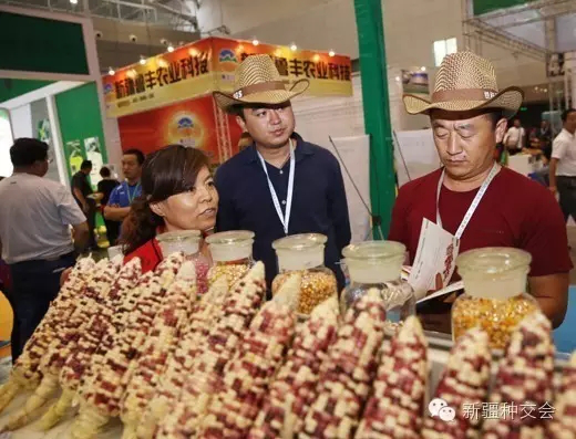 現(xiàn)場照片