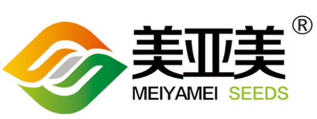 名企推薦