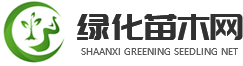 綠化苗木網(wǎng)