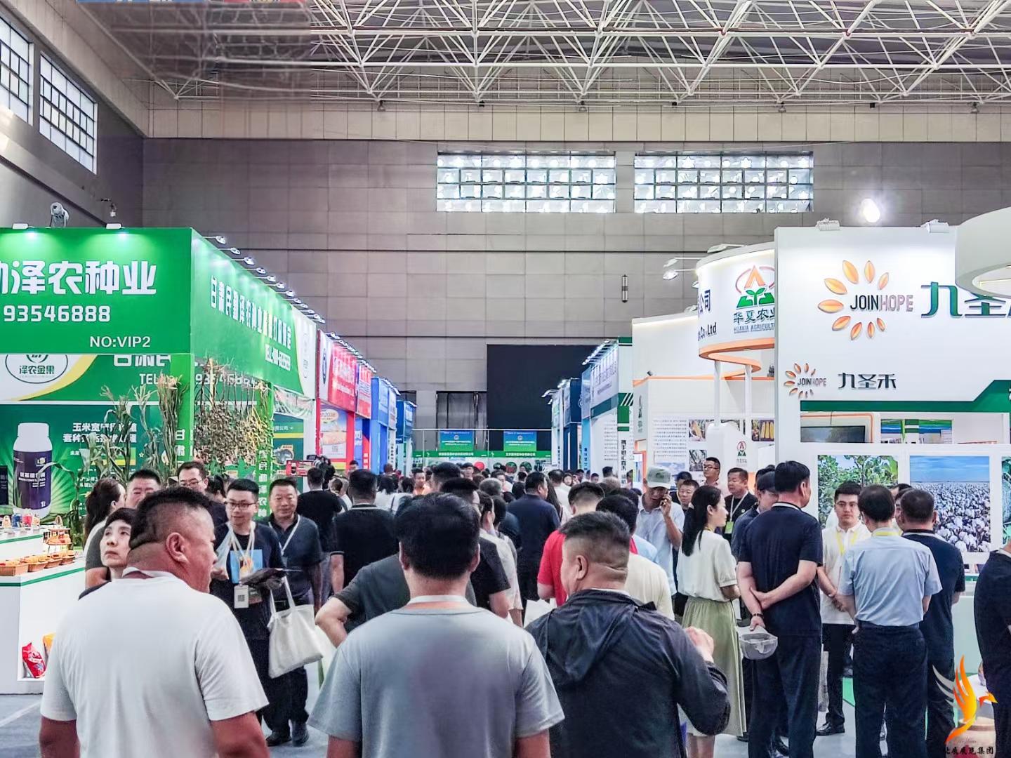 現(xiàn)場圖片