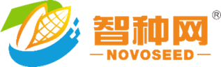 制種網(wǎng)